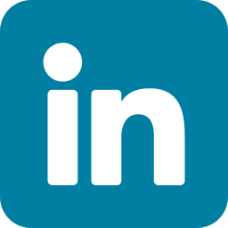 LinkedIn logo icon